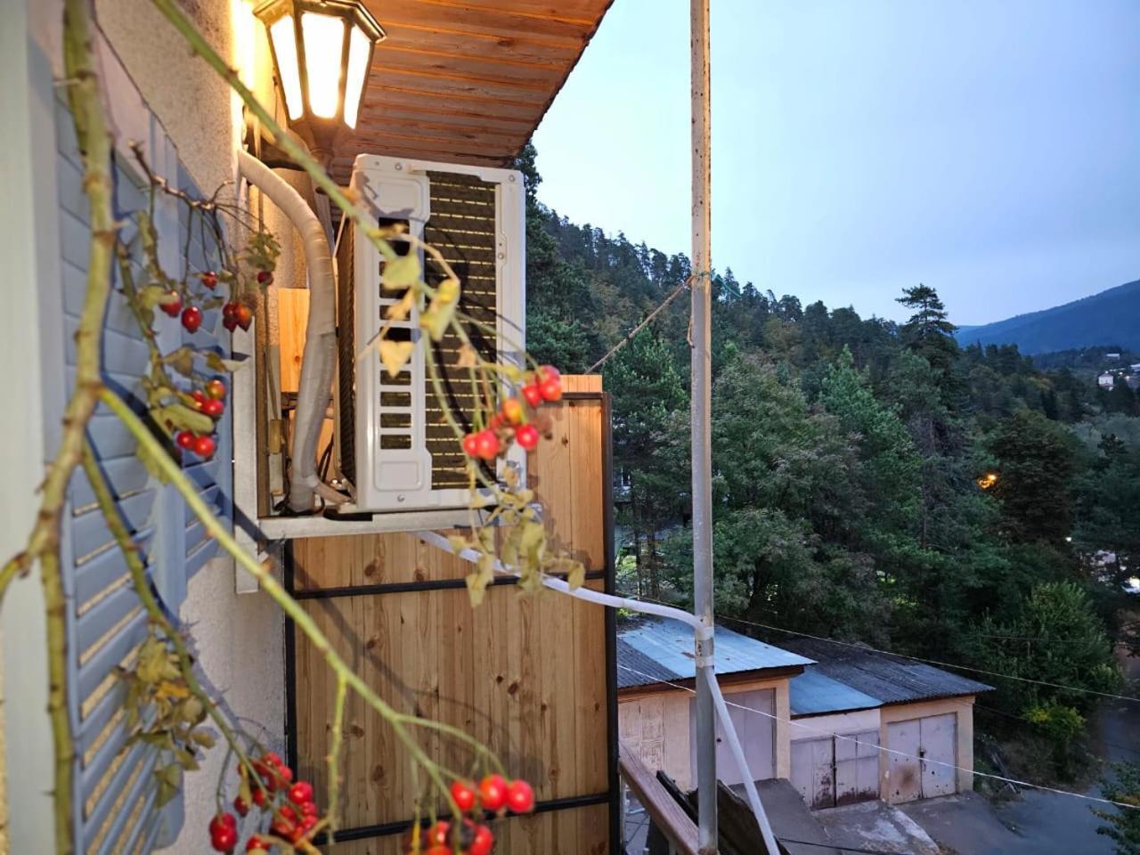 Guest House Likani 2017 Borjomi ห้อง รูปภาพ