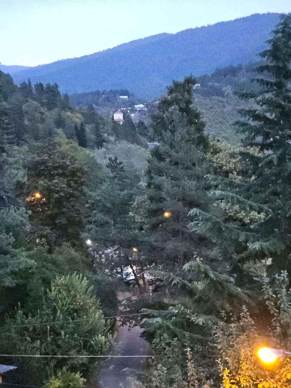 Guest House Likani 2017 Borjomi ห้อง รูปภาพ