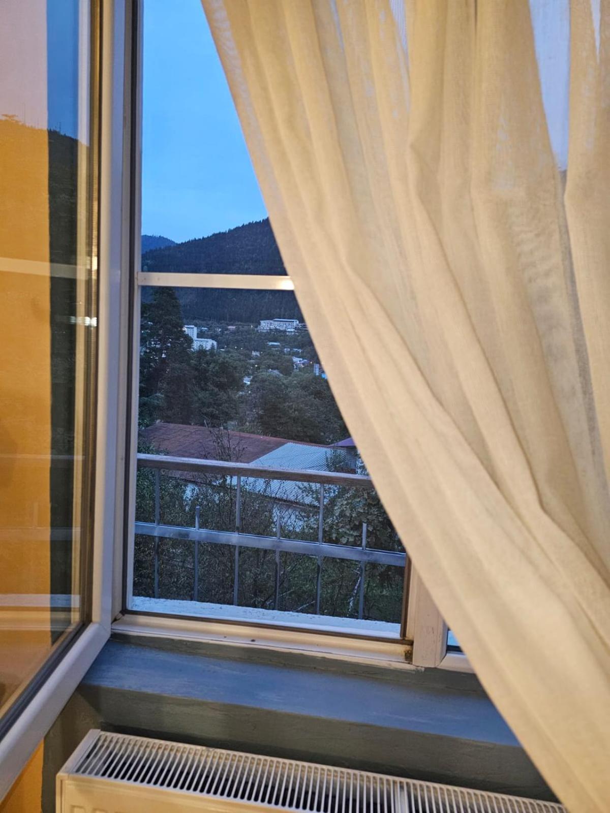 Guest House Likani 2017 Borjomi ห้อง รูปภาพ