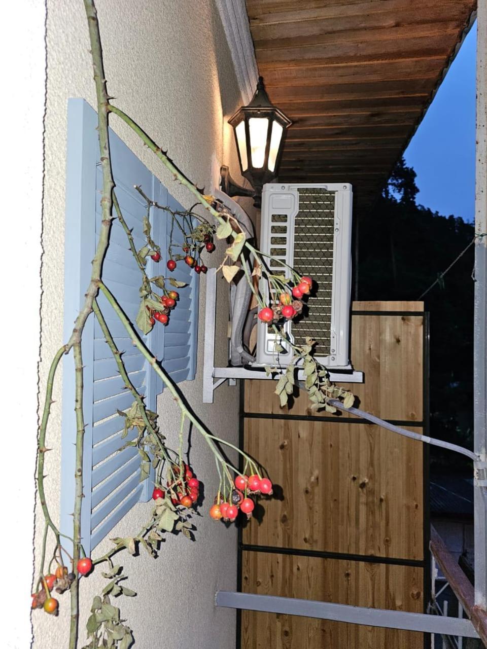 Guest House Likani 2017 Borjomi ห้อง รูปภาพ