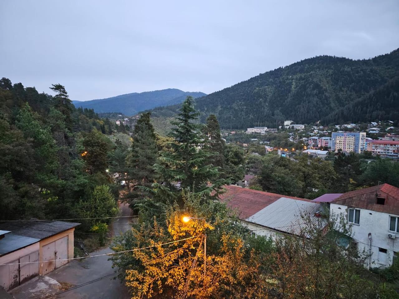 Guest House Likani 2017 Borjomi ห้อง รูปภาพ