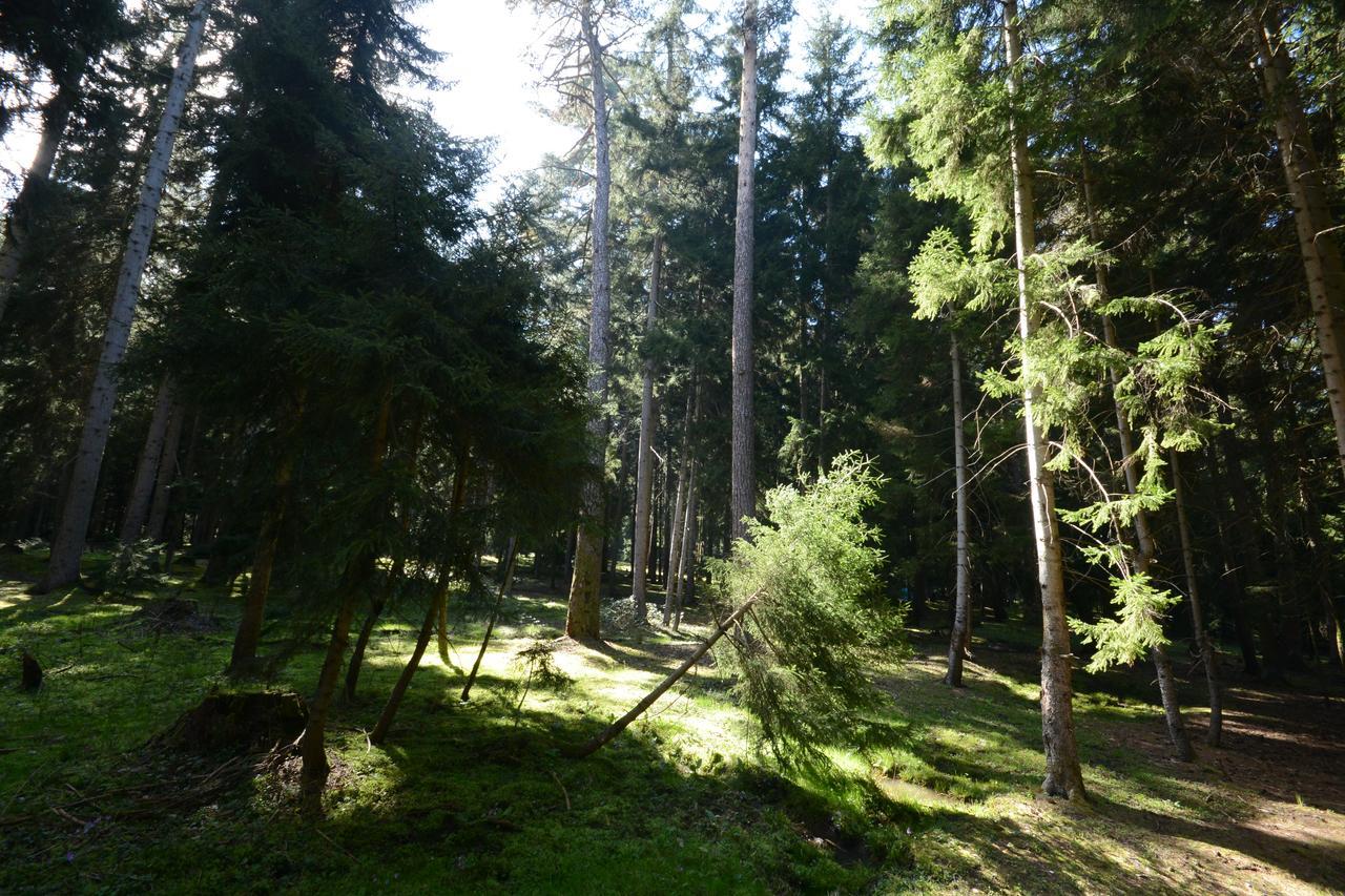 Guest House Likani 2017 Borjomi ภายนอก รูปภาพ