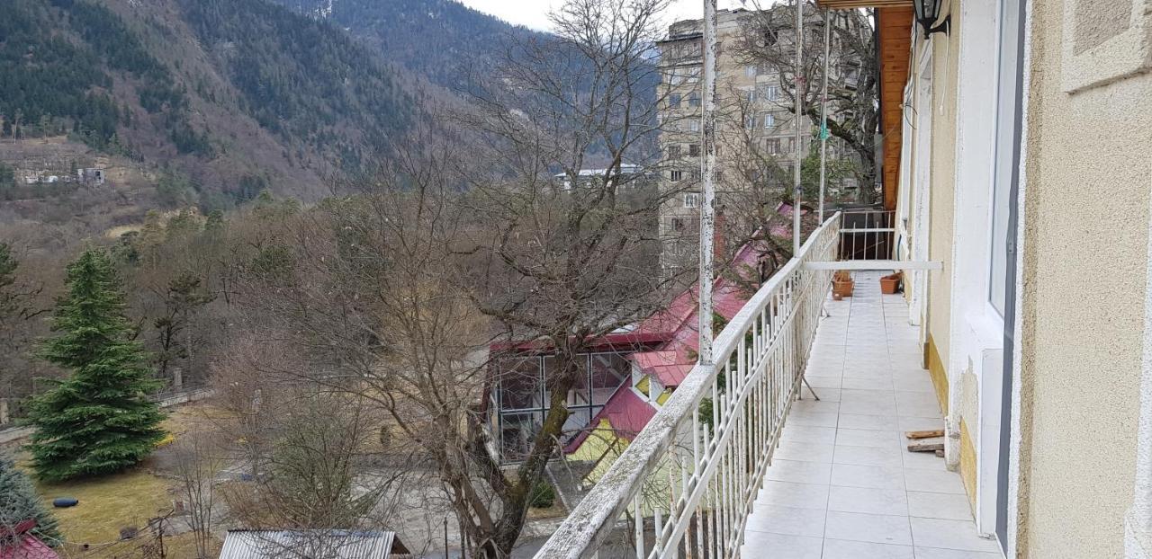 Guest House Likani 2017 Borjomi ห้อง รูปภาพ