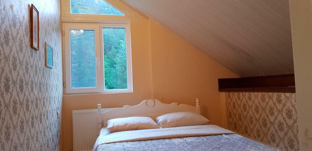 Guest House Likani 2017 Borjomi ภายนอก รูปภาพ